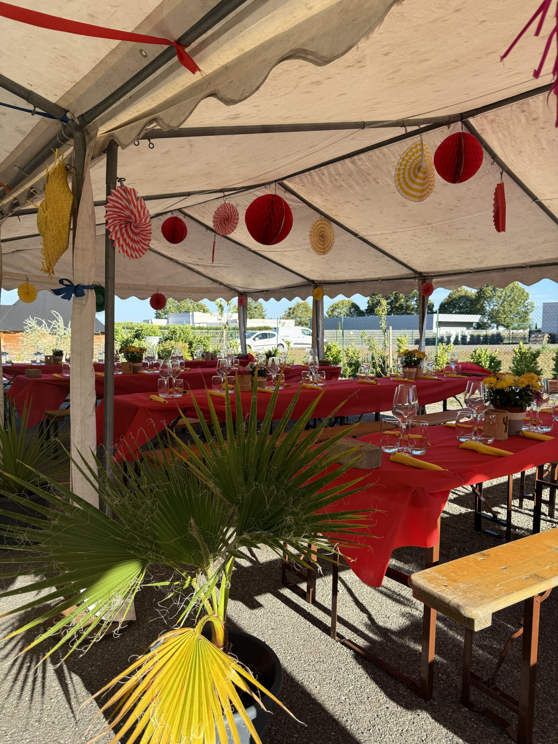 Organisation d&rsquo;une soirée péruvienne immersive avec décoration et animations en Alsace